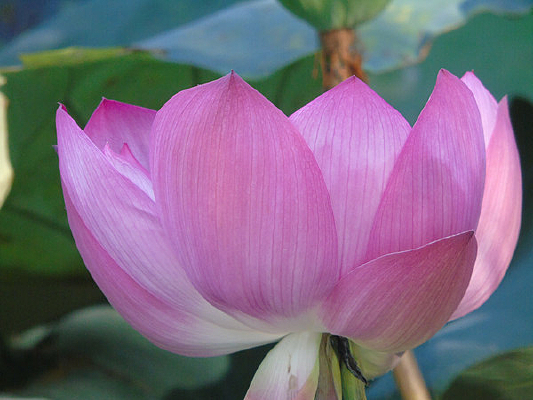 �ļ���������