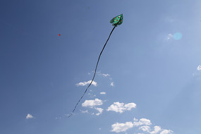 ��ɫ����