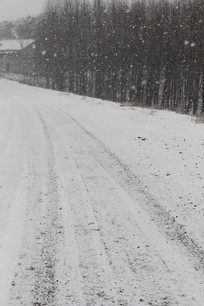 ��Ⱦ�µ����·