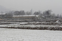 ��ѩ��ũ����԰