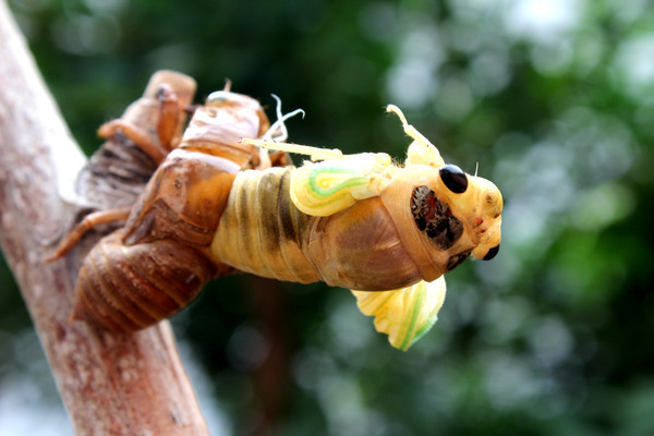 ֪���ѿǽ�����