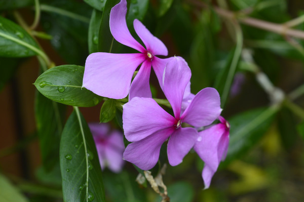 ��������д