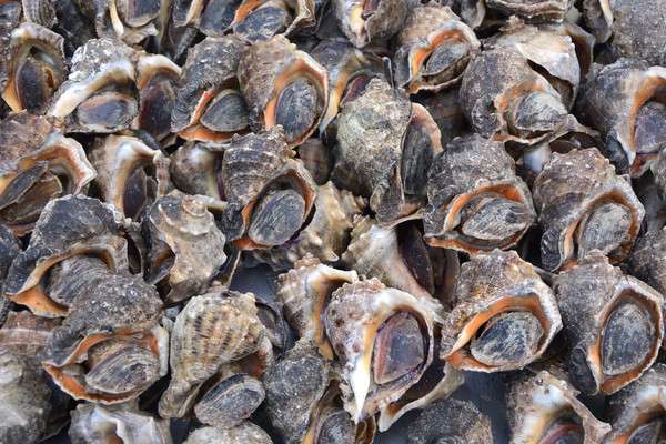 ����ʳ��