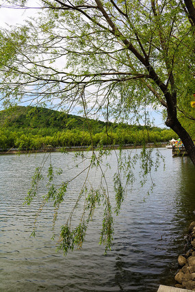 �������