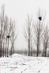 ����ũ��