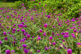 һ������