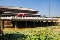 �����ɻ�