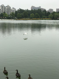 ���ط���