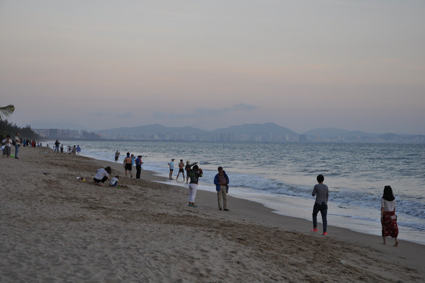 �����ĺ�̲