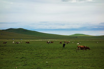 ������Ʋݵؾ�ɫ