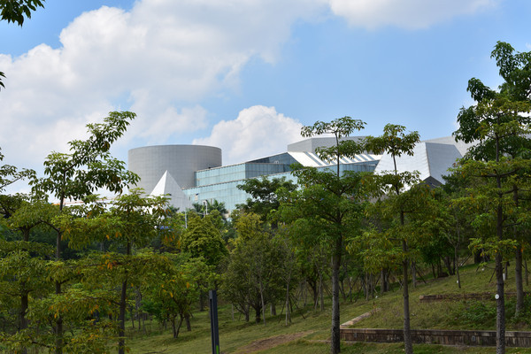 ����������һ��