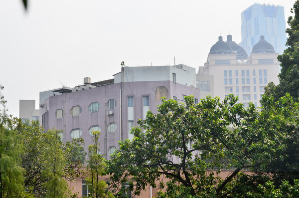 ��ľ���¥���ý���ͼƬ