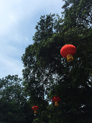 ���ϵĴ�����