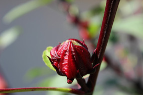 ��˻��Ļ��Ƕ�