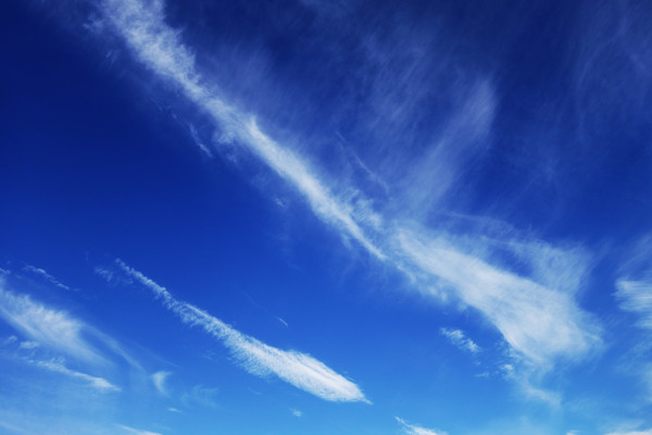 �̿���翵��Ʋ�