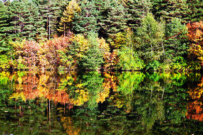 ����ɽ������������ 