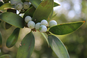 ���ڹ�԰����ȴ�ˮ��