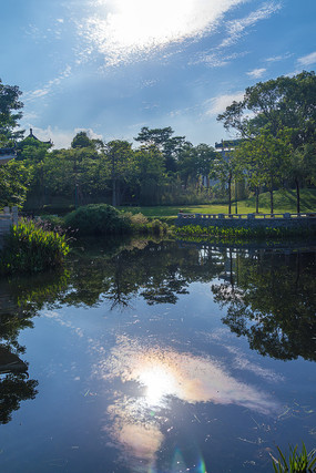 ���С����԰�ĳ�ˮ