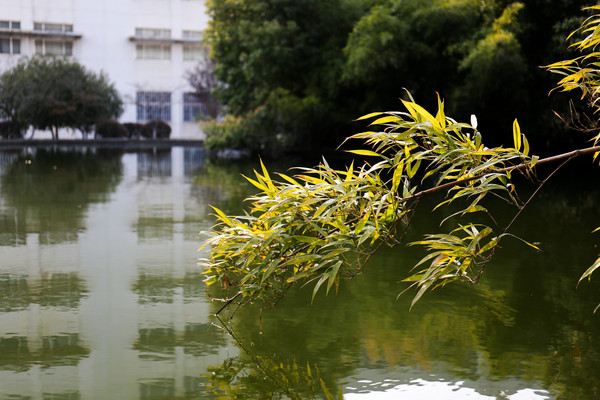 У԰��ƽ����ˮ��