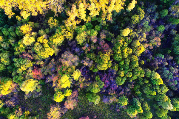 ������������