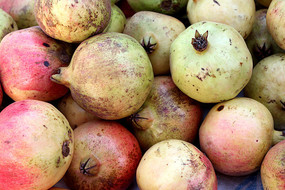 ��ժ�ѷ�һ��Ĵ�ʯ��