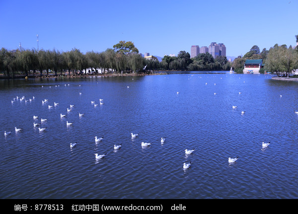 昆明滇池平靜的湖面高清圖片下載_紅動中國