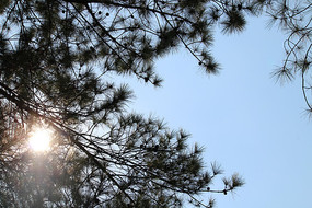 ������͸¶��̫��