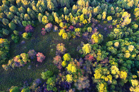 ��ʴ���  �����ģ� 