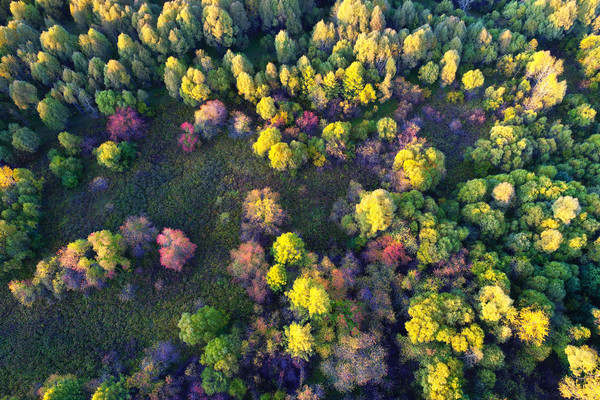 ��ʴ���  �����ģ� 