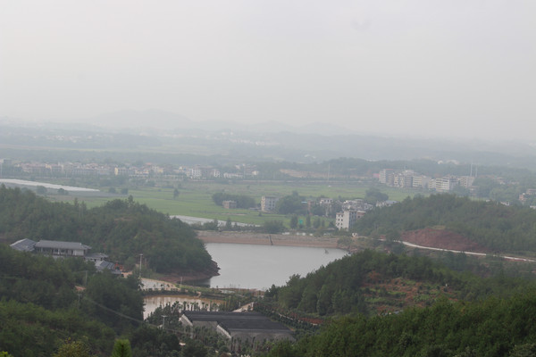 �ŷ����������Ұ