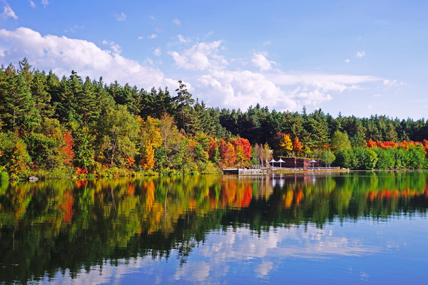 �������