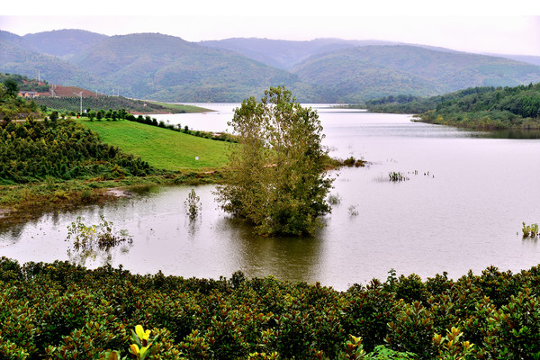 ����ˮ��ߵ�С��