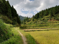 ��ԭˮ����԰���