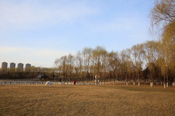 �������ʵ���԰