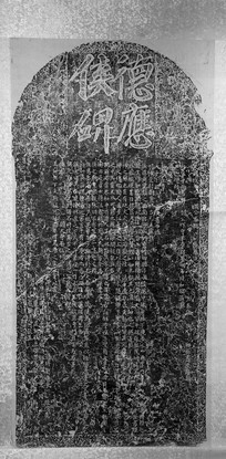 �鷨�����