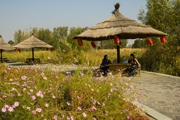 ���۲�����ͤ