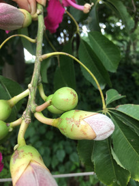 ��������ʵ