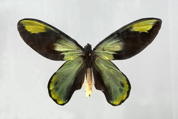 ά���������