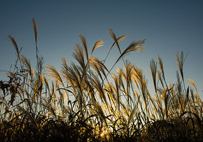 б���µ�«έ��