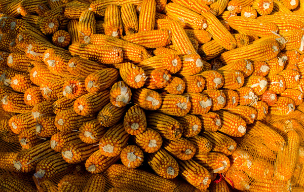 ���װ���