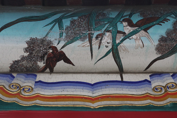 �����ʻ滭����С��