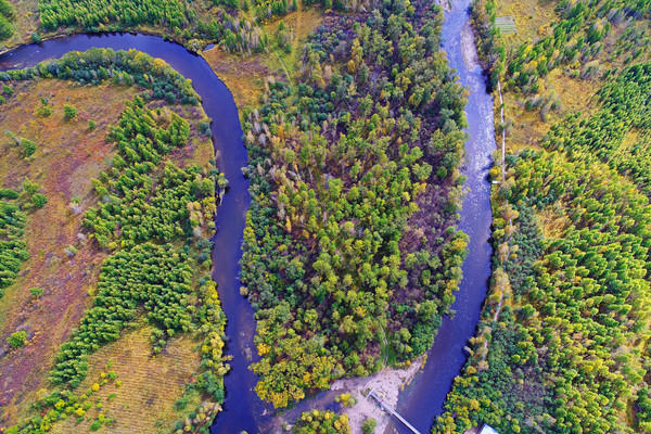 ���˰���ɭ�ֺӣ����ģ� 