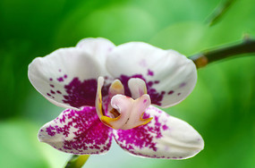 ������������д