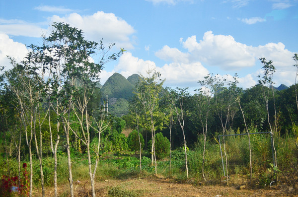 ���������ľ�羰ͼƬ