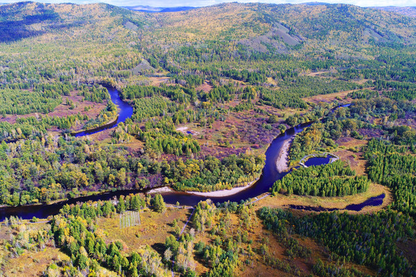 �ֺ����� �����ģ�