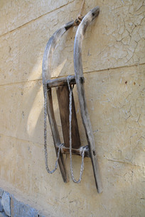 ������Ĳ����