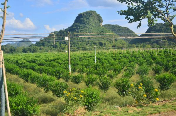 ɽ���µ�����羰ͼƬ