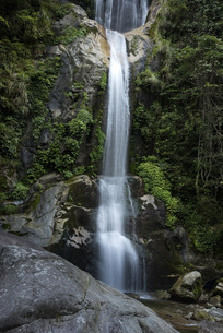 ʨĻ