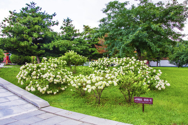 ��ɽ�����������o