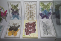 ���պ���